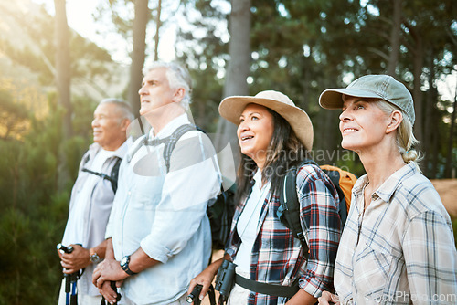 Image of Hiking, adventure and exploring with a group of senior friends looking at the view on a nature hike in a forest or woods outdoors. Retired people on a journey of discovery and enjoying a walk outside