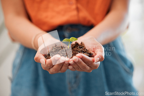 Image of Hands, closeup and holding growing seeds from healthy pot of soil. Agriculture, sustainable and green business for eco friendly living. Hope for environmental innovation and safe ecosystem.