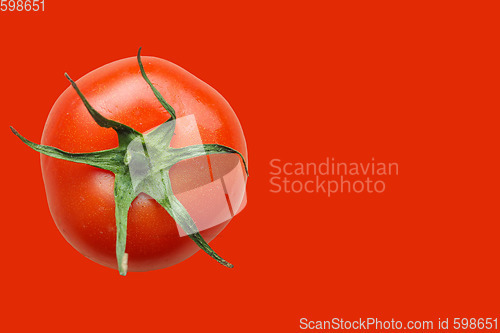 Image of Red tomato vegetable over red
