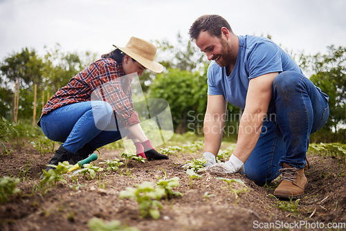 Image of Farmers planting plants or organic vegetable crops on a sustainable farm and enjoying agriculture. Farmer couple working together outdoors on farmland to grow produce for sustainability