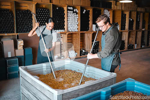 Image of Crushing grapes for wine manufacturing in a cellar, winery and distillery. Industry employees, vintners and workers with press tool in a tank to mix large crate for fermentation process in production