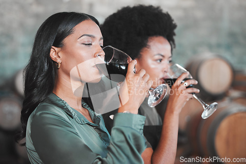 Image of Women, wine tasting and drinking alcohol from glass in farm room, winery estate and local countryside distillery. Black friends, connoisseurs and sommeliers bonding and enjoying vineyard red merlot