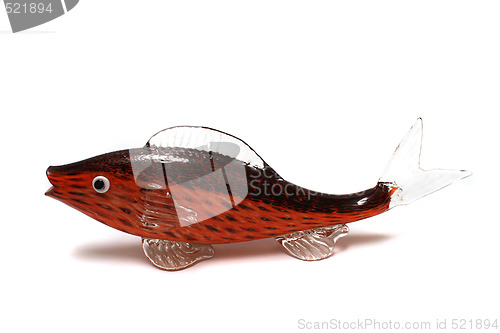 Image of glass fish