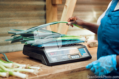 Image of Electronic, digital and retail scale weighing vegetables for customer at food and fruit supermarket. Female grocery store worker checking the cost of health produce with computing price machine.