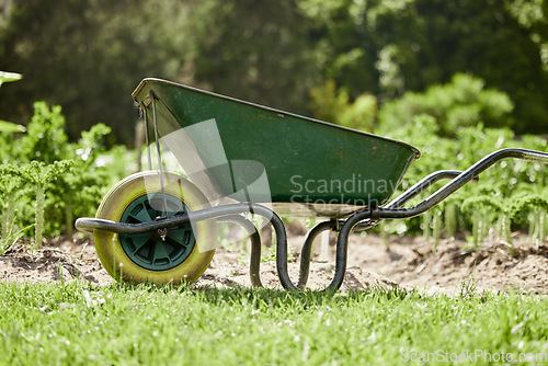 Image of Farm or garden wheelbarrow on nature, agriculture environment or green countryside field used for farming work. Gardening equipment for lawn with sustainable grass, flower and plant growth