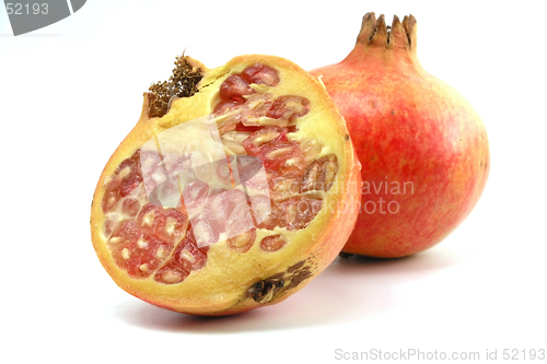 Image of Pomegranate