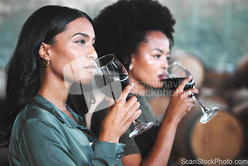 Image of Luxury, hospitality and friends at wine tasting event, drink and enjoying new experience together in a vineyard cellar. Diverse women bonding while trying and testing the quality of a popular blend