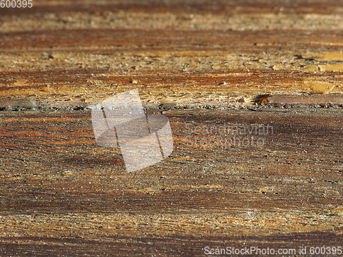 Image of Old wood texture background