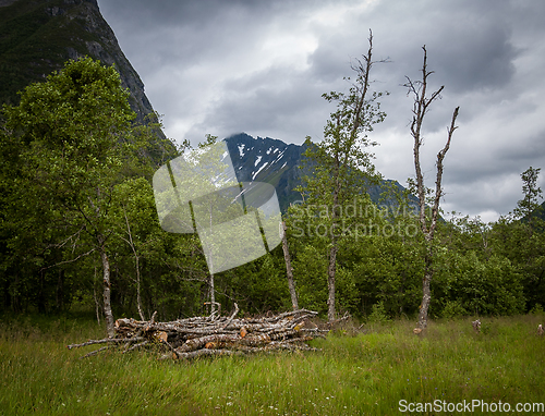 Image of Wood Pile in Grassy Area With Trees and Mountains Background