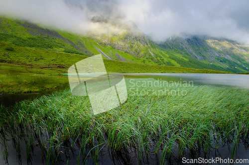 Image of Pristine Mountain Lake Surrounded by Lush Greenery on a Misty Da