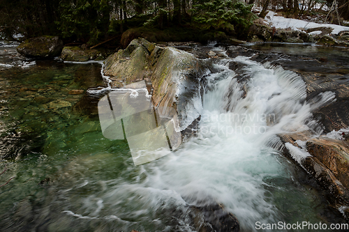 Image of Cascading Mountain Stream With Snowy Banks in a Forested Winter 