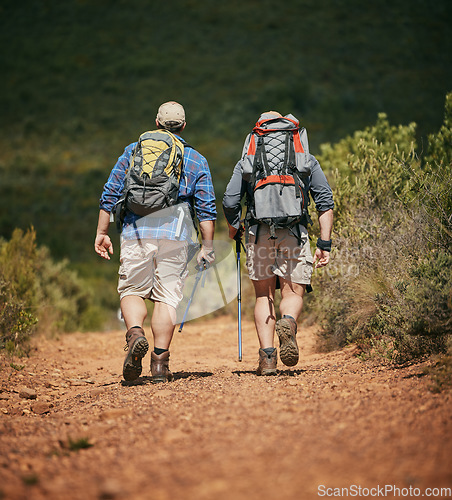 Image of Friends trekking nature while hiking in a forest together, being active and bonding outdoors. Active male travel on a path in the woods, enjoying a physical challenge while on trekking adventure