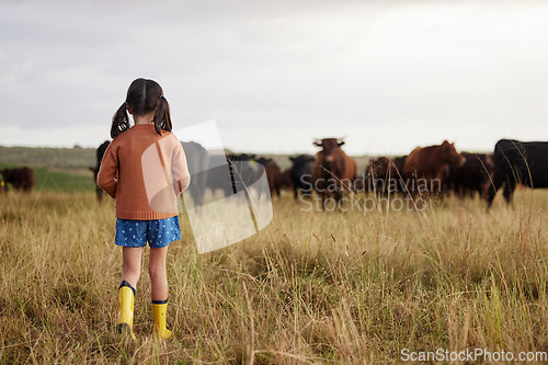 Image of Little girl learning agriculture on a sustainability farm with cattle and exploring nature outdoors. Back view of a carefree child or kid watching cows or farmland animals enjoying the countryside