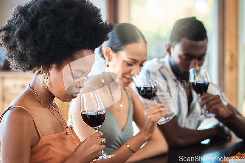 Image of Friends red wine tasting fine dining experience at a vineyard restaurant for about us and hospitality. Group of black people glass of luxury, quality alcohol drink in a winery business or industry