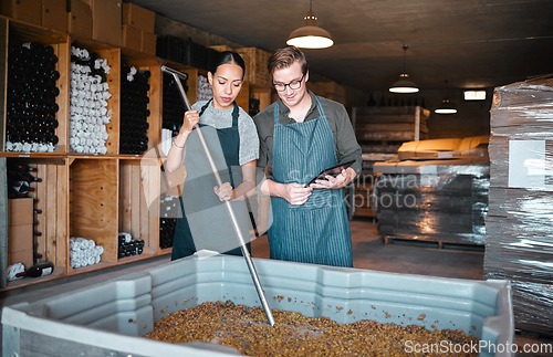 Image of Agriculture, wine and vineyard workers in the alcohol business, press grapes in distillery plant. Sustainability, nature and growth employee with checklist on quality in drink manufacturing industry