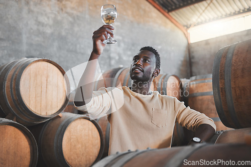 Image of Wine expert or entrepreneur with glass during tasting test in a cellar or distillery in a warehouse. Black agriculture worker in alcohol production storage or wooden barrel in a manufacturing winery