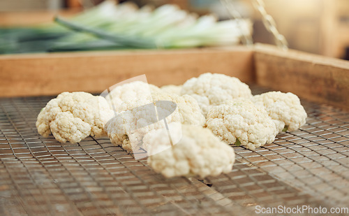 Image of Agriculture cauliflower vegetables for nutrition, sustainability and health from eco friendly farm or farming market close up. Countryside sustainable organic vegetable for healthy vegan food diet