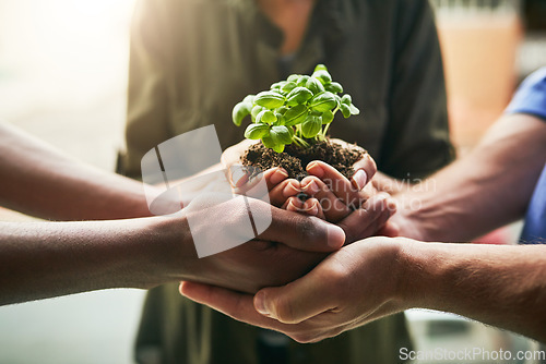 Image of Planet, earth and with teamwork our nature environment, green energy and sustainability in a clean community. Global, natural growth and be eco friendly together and reduce carbon footprint to plant