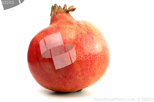 Image of Pomegranate