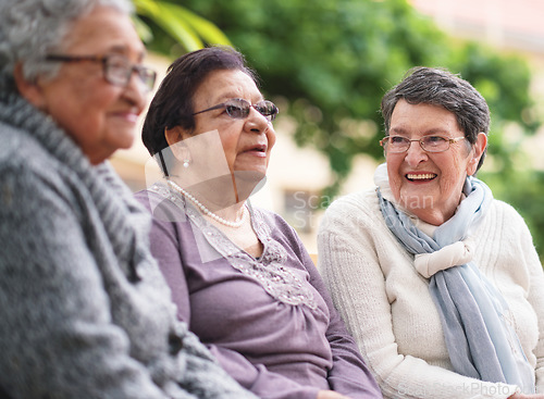 Image of Happy elderly women sitting on bench in park smiling best friends enjoying retirement together