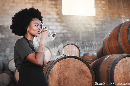 Image of Wine, drink and cellar woman tasting a glass from their manufacturing or farming distillery plant as part of quality checklist. Agriculture, sustainability and winery farm worker in brewery warehouse