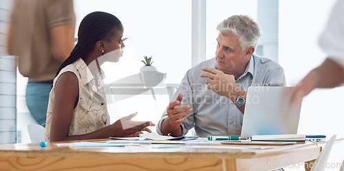 Image of Business woman consulting company client about creative project on laptop in modern office. Corporate, meeting and black manager discussing b2b marketing strategy with industry executive on computer