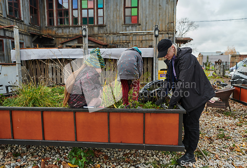 Image of A modern family parents and children, is working together to beautify their front yard with flowers in preparation for the upcoming holiday season.