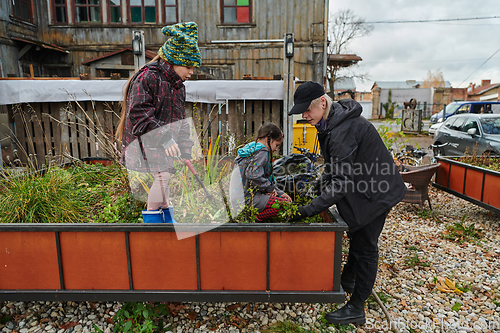 Image of A modern family parents and children, is working together to beautify their front yard with flowers in preparation for the upcoming holiday season.