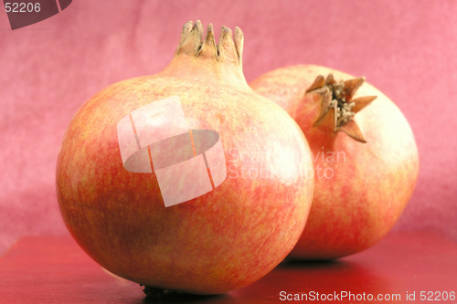 Image of Pomegranate