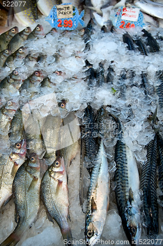 Image of Supermarket fish sale