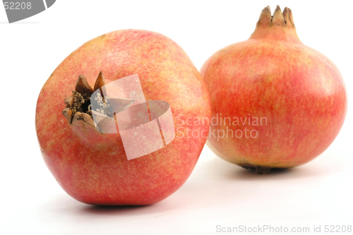 Image of Pomegranate