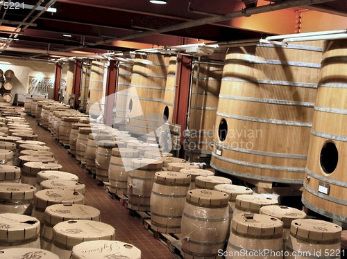 Image of Wine Barrels