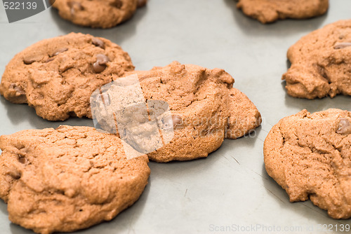 Image of Chocolate Chip Cookies