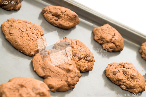 Image of Homemade Chocolate Chip Cookies