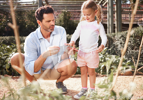 Image of Family, tomato garden or girl with father in learning or child education for food growth, sustainability or environment agriculture. Smile, happy or bonding kid with man farming vegetable for harvest