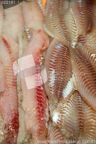 Image of Tilapia filet