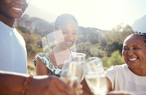 Image of Vineyard celebration, wine or champagne glasses with family at an outdoor social event, picnic or park celebrating love, success and joy. Happy lifestyle of black people and women cheers with drinks