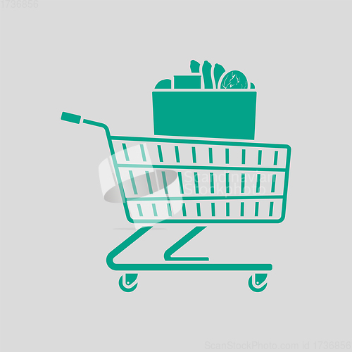 Image of Shopping Cart With Bag Of Food Icon