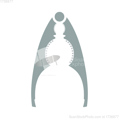 Image of Nutcracker Pliers Icon