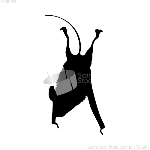 Image of Free Tailed Brazilian Bat Silhouette