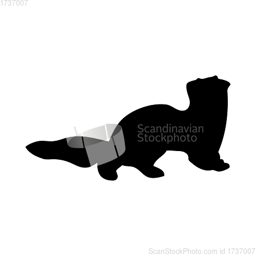 Image of Siberian Weasel Silhouette