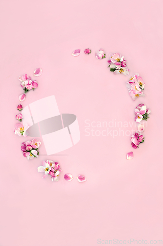 Image of Apple Blossom Flower Wreath for Spring and Beltane 