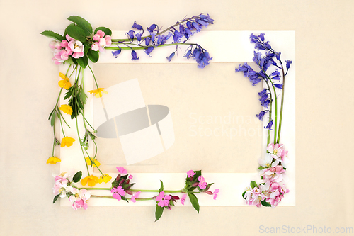 Image of Spring Beltane Wildflower Natural Background Frame