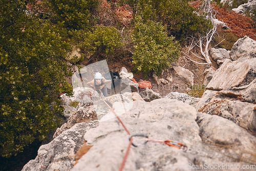 Image of Climbing, abseiling and adventure with a woman climber hiking on a mountain outside in nature, the woods or the forest. Sports, health and fitness with a female holding a rope and scaling a rock