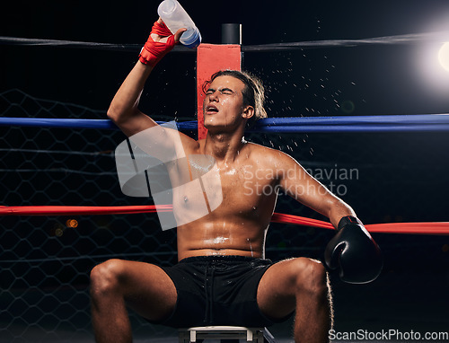 Image of Boxing athlete with water bottle, tired after workout, training or exercise in a ring. Professional boxer rest and hydrate after fitness mma, muay thai or fighting practice, match and fight