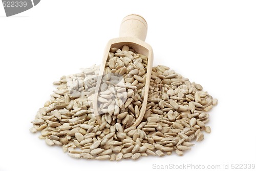 Image of Sunflower seeds