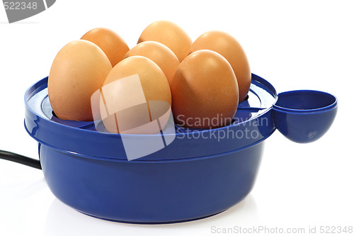 Image of Egg broiler