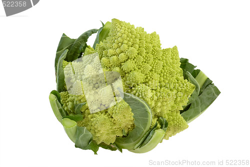 Image of Romanesco_8