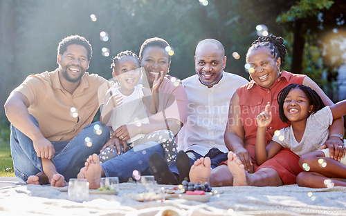 Image of Portrait, happy black family and picnic in summer happiness and bubbles in nature fun and bonding time. Joyful African people smile together in group generations and moments relaxing in the outdoors