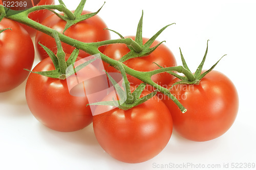 Image of Tomatoes